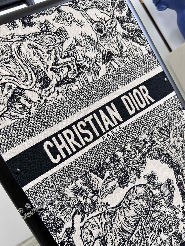 Dior專櫃2023新款oblique復古印花圖案配鋁框CD拉杆箱 A25 迪奧Christian行李箱/拉杆箱 dn1147